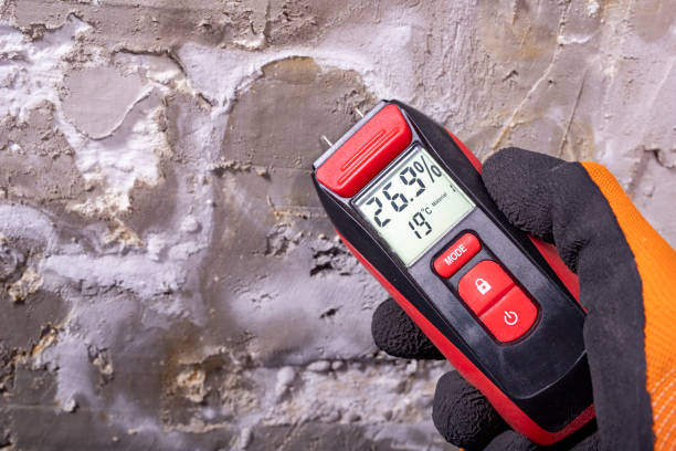 Water Damage Restoration in Soldotna, AK