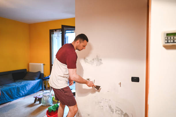 Best Mold Removal Company Near Me  in Soldotna, AK